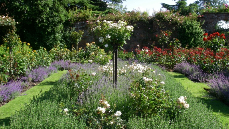 Gunby Hall and Gardens